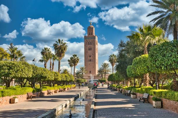 Camel Ride in Marrakech