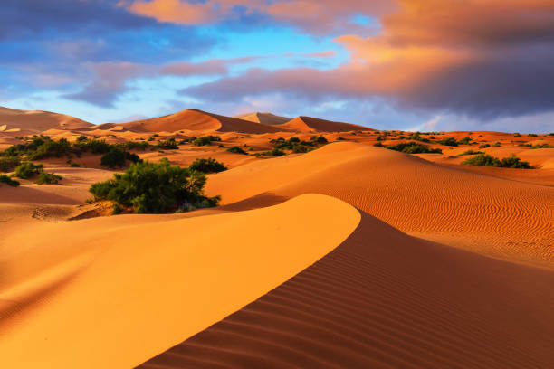 Merzouga Desert Excursion